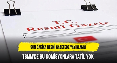 Son Dakika Resmi Gazetede Yayınlandı TBMM'de Bu Komisyonlara Tatil Yok