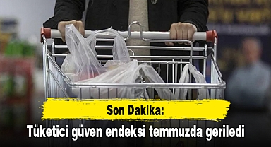 Son dakika: Tüketici güven endeksi temmuzda geriledi