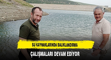 Su Kaynaklarında Balıklandırma Çalışmaları Devam Ediyor