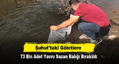 Şuhut’taki Göletlere, 73 Bin Adet Yavru Sazan Balığı Bırakıldı