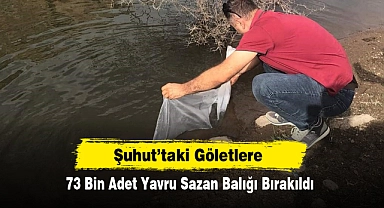 Şuhut’taki Göletlere, 73 Bin Adet Yavru Sazan Balığı Bırakıldı