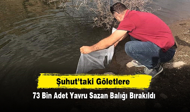 Şuhut’taki Göletlere, 73 Bin Adet Yavru Sazan Balığı Bırakıldı