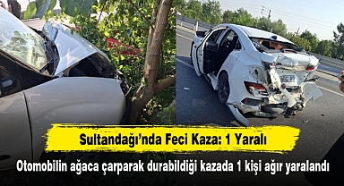 Sultandağı'nda Feci Kaza: Otomobilin ağaca çarparak durabildiği kazada 1 kişi ağır yaralandı