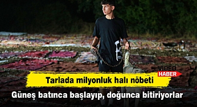 Tarlada milyonluk halı nöbeti: Güneş batınca başlayıp, doğunca bitiriyorlar
