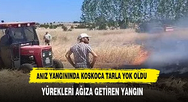 Tavşanlı'nın Kuruçay Beldesindeki Buğday Tarlasındaki Yangın Korkuttu