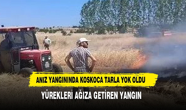 Tavşanlı'nın Kuruçay Beldesindeki Buğday Tarlasındaki Yangın Korkuttu