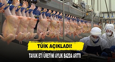 Tavuk Eti Üretimi Aylık Bazda Arttı