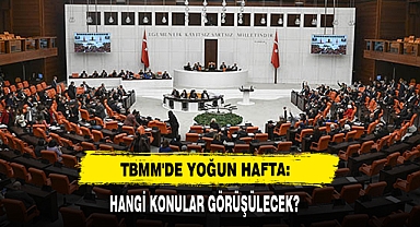 TBMM'DE Yoğun Hafta: Hangi Konular Görüşülecek?