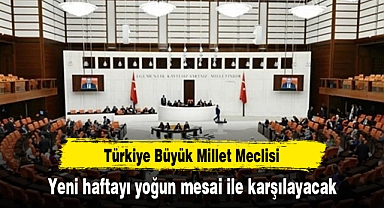 TBMM, yeni haftayı yoğun mesai ile karşılayacak