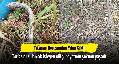 Tıkanan Borusundan Yılan Çıktı: Tarlasını sulamak isteyen çiftçi hayatının şokunu yaşadı