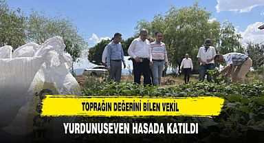 Toprağın Değerini Bilen Vekil Yurdunuseven Hasada Katıldı
