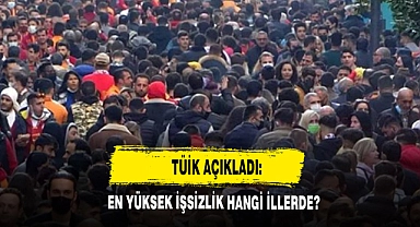 TÜİK açıkladı: En yüksek işsizlik hangi illerde?