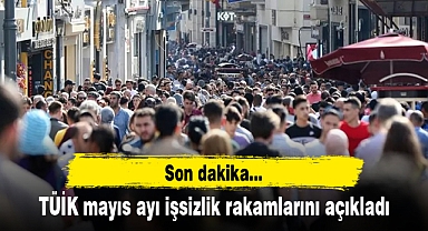 TÜİK mayıs ayı işsizlik rakamlarını açıkladı