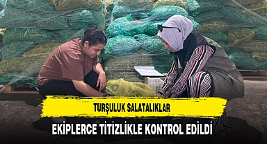 Turşuluk Salatalıklar Ekiplerce Titizlikle Kontrol Edildi
