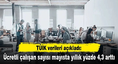 Ücretli çalışan sayısı mayısta yıllık yüzde 4,3 arttı