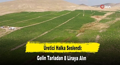 Üretici Halka Seslendi: Gelin Tarladan 8 Liraya Alın