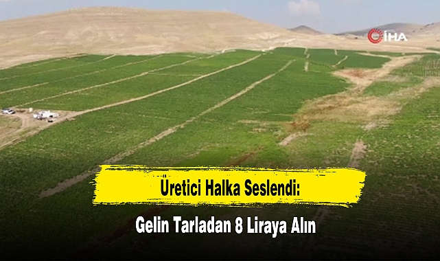Üretici Halka Seslendi: Gelin Tarladan 8 Liraya Alın