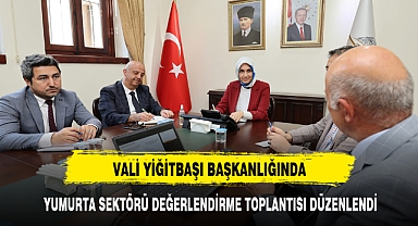 VALİ YİĞİTBAŞI BAŞKANLIĞINDA YUMURTA SEKTÖRÜ DEĞERLENDİRME TOPLANTISI DÜZENLENDİ
