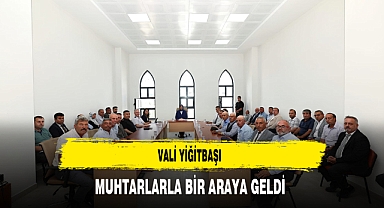 Vali Yiğitbaşı Muhtarla Bir Araya Geldi