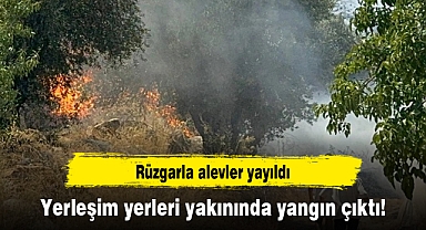 Yerleşim yerleri yakınında yangın çıktı! Rüzgarla alevler yayıldı