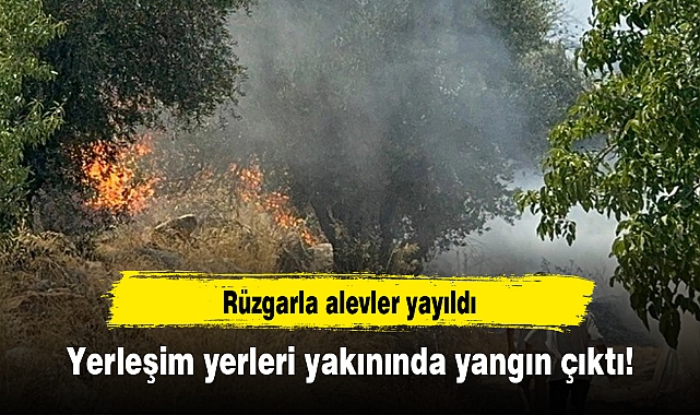 Yerleşim yerleri yakınında yangın çıktı! Rüzgarla alevler yayıldı