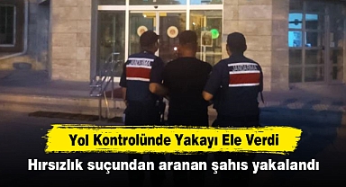Yol Kontrolünde Yakayı Ele Verdi! Hırsızlık suçundan aranan şahıs yakalandı