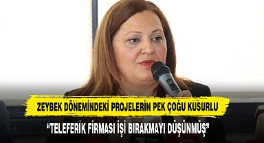 Zeybek Dönemindeki Projelerin Pek Çoğu Kusurlu