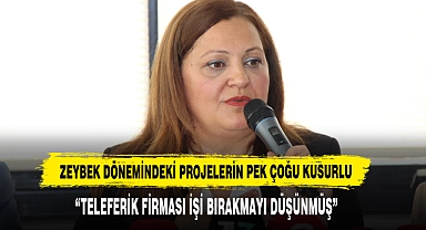 Zeybek Dönemindeki Projelerin Pek Çoğu Kusurlu