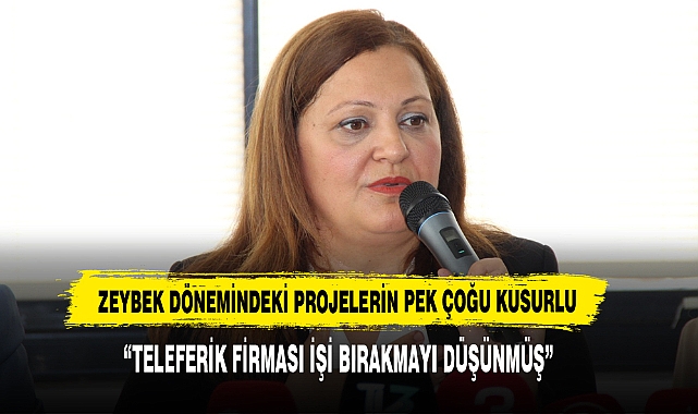 Zeybek Dönemindeki Projelerin Pek Çoğu Kusurlu