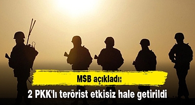 2 PKK'lı terörist etkisiz hale getirildi