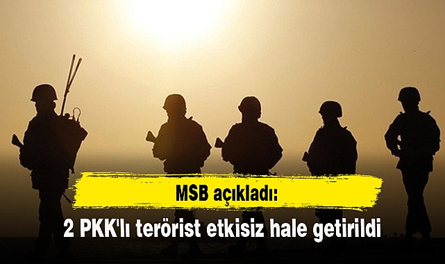 2 PKK'lı terörist etkisiz hale getirildi