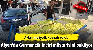 Afyon’da Germencik inciri müşterisini bekliyor