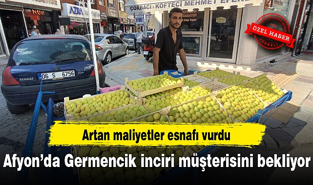 Afyon’da Germencik inciri müşterisini bekliyor