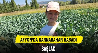 AFYON'DA KARNABAHAR HASADI BAŞLADI