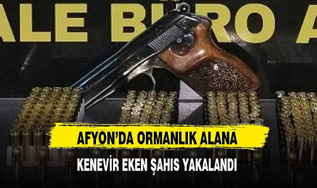 AFYON'DA ORMANLIK ALANA KENEVİR EKEN ŞAHIS YAKALANDI