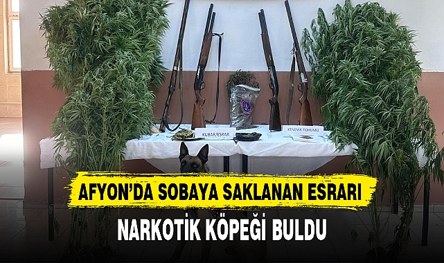 AFYON'DA SOBAYA SAKLANAN ESRARI NARKOTİK KÖPEĞİ BULDU