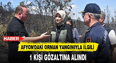 AFYON'DAKİ ORMAN YANGINIYLA İLGİLİ 1 KİŞİ GÖZALTINA ALINDI