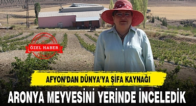 AFYON'DAN DÜNYA'YA ŞİFA KAYNAĞI