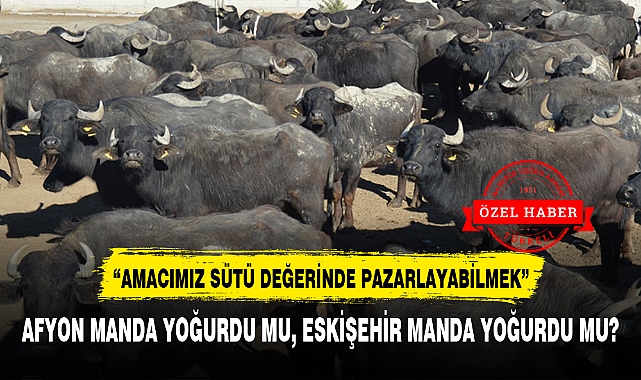 AFYON MANDA YOĞURDU MU, ESKİŞEHİR MANDA YOĞURDU MU?