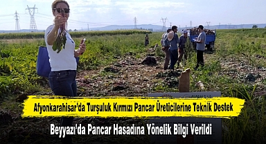 Afyonkarahisar’da Turşuluk Kırmızı Pancar Üreticilerine Teknik Destek