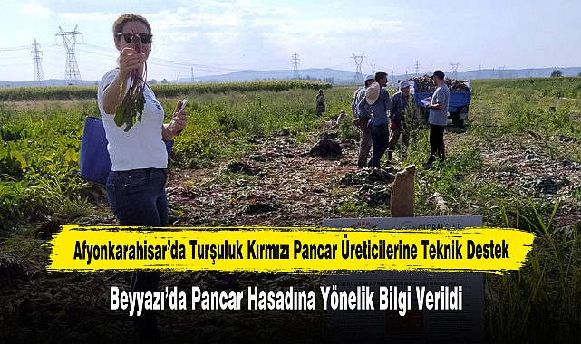 Afyonkarahisar’da Turşuluk Kırmızı Pancar Üreticilerine Teknik Destek
