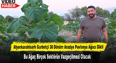 Afyonkarahisarlı Gurbetçi 30 Dönüm Araziye Pavlonya Ağacı Dikti