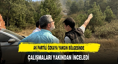AK Partili Özkaya Yangın Bölgesinde Çalışmaları Yakından İnceledi