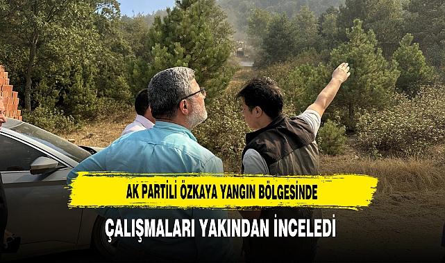 AK Partili Özkaya Yangın Bölgesinde Çalışmaları Yakından İnceledi