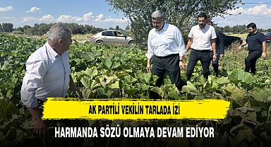 AK Partili Vekilin Tarlada İzi Harmanda Sözü Olmaya Devam Ediyor