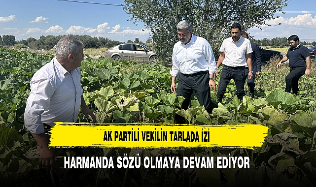 AK Partili Vekilin Tarlada İzi Harmanda Sözü Olmaya Devam Ediyor