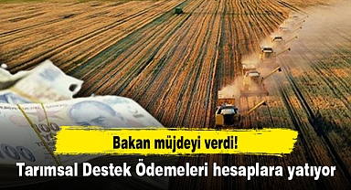 Bakan müjdeyi verdi! Tarımsal Destek Ödemeleri hesaplara yatıyor