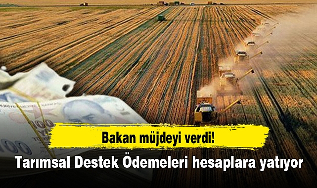 Bakan müjdeyi verdi! Tarımsal Destek Ödemeleri hesaplara yatıyor