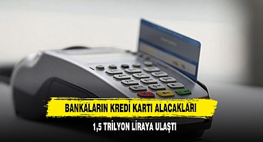 Bankaların Kredi Kartı Alacakları 1,5 Trilyon Liraya Ulaştı