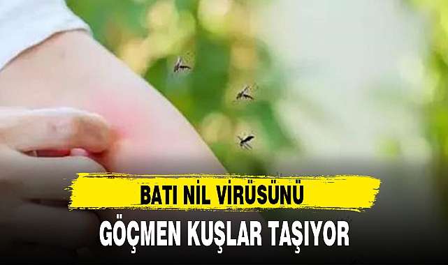 BATI NİL VİRÜSÜNÜ GÖÇMEN KUŞLAR TAŞIYOR
